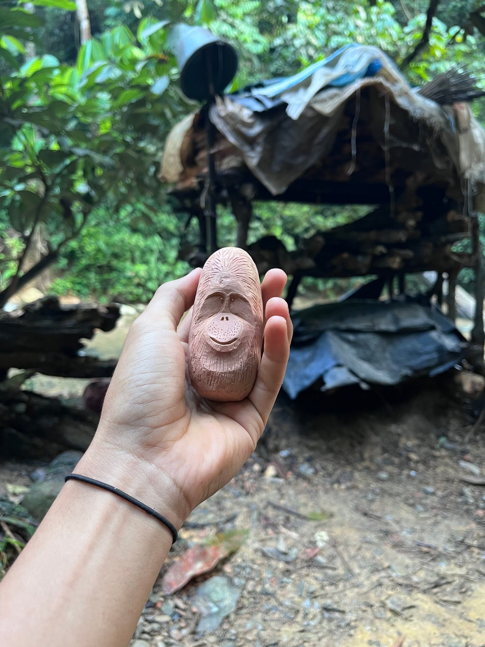 Jungle Campsite Experience 4